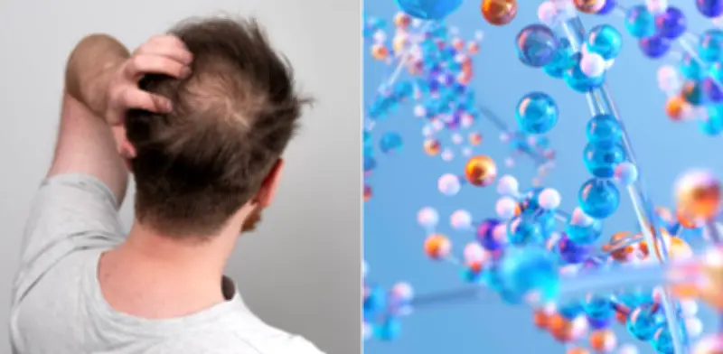 Científicos prueban molécula PP405 que reactiva folículos capilares dormidos para combatir calvicie