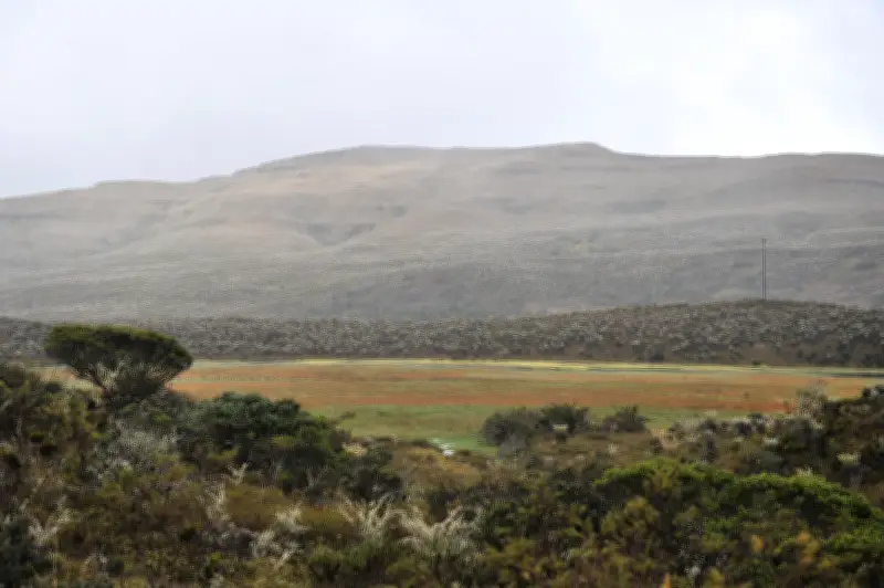 Cinco municipios establecen acuerdos para la delimitación participativa del Páramo de Sumapaz