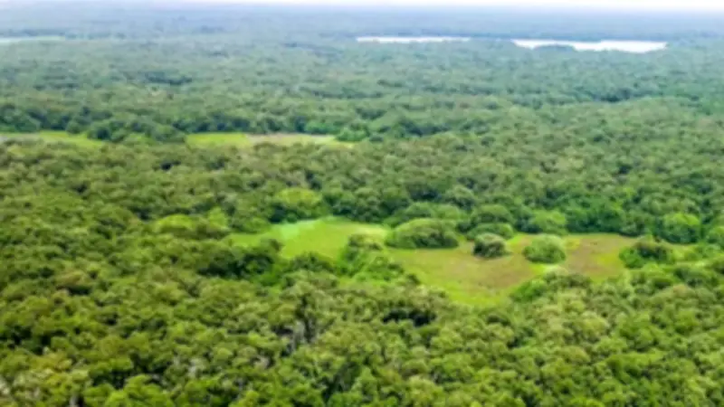 Cinco niños rescatados en selva del Caquetá tras huir de disidencias que ordenaron asesinar a su padre