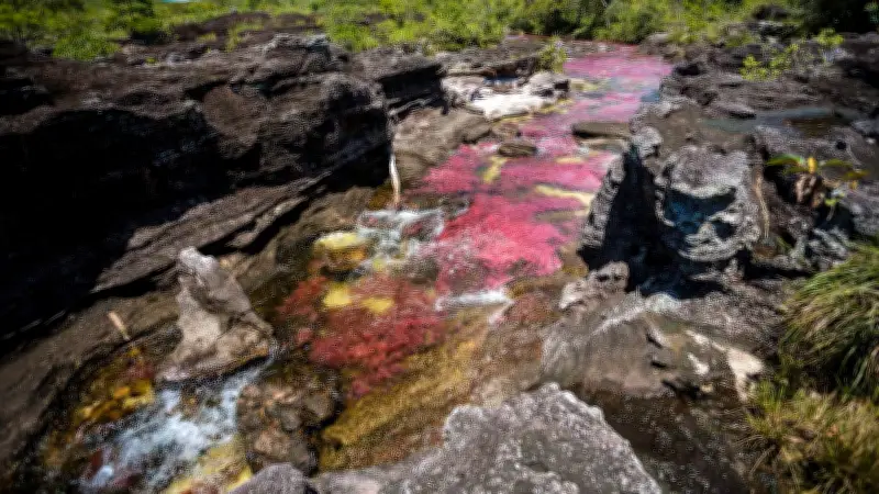 Cinco ríos colombianos para un ecoturismo responsable en el Día Mundial del Agua