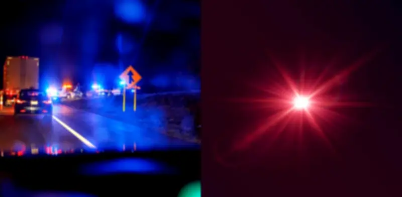 Ciudad danesa cambia iluminación a rojo para proteger murciélagos, pero genera riesgo vial