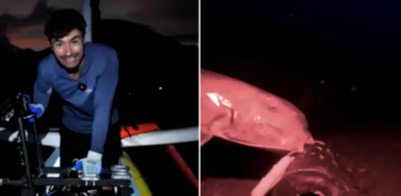 Cámara de visión nocturna capta vida marina en las profundidades del Mar de Bali