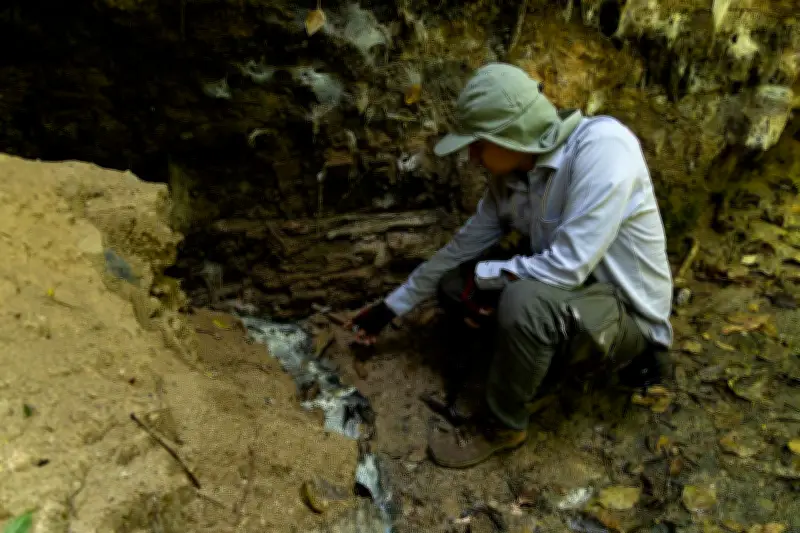 Colombia adopta guía técnica para proteger zonas de recarga de agua subterránea