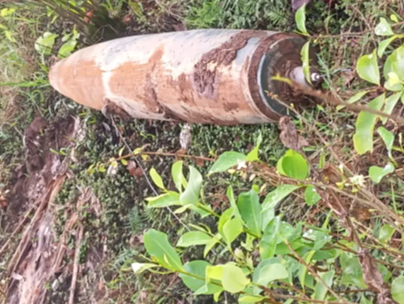 Colombia despliega expertos militares tras hallazgo de bomba en frontera con Ecuador