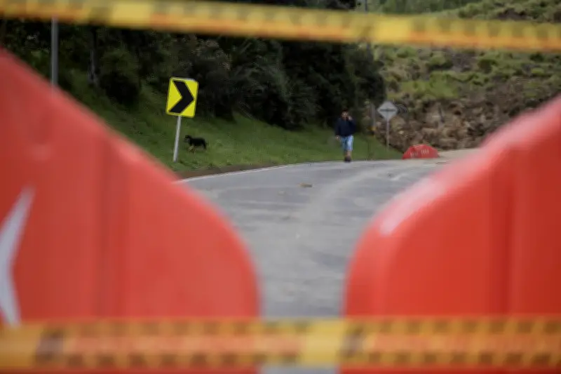 Colombia lanza guía para prevenir atropellamiento de fauna silvestre en carreteras