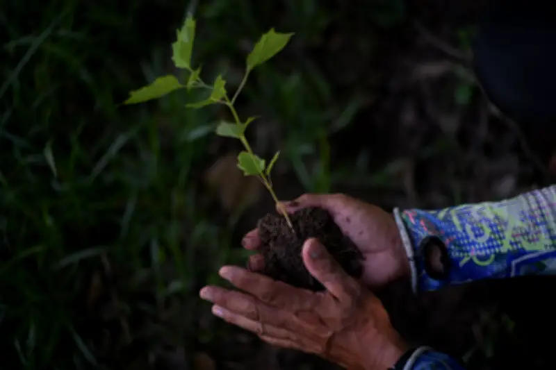 Colombia renueva alianza con Alemania, Noruega y Reino Unido para proteger bosques hasta 2030