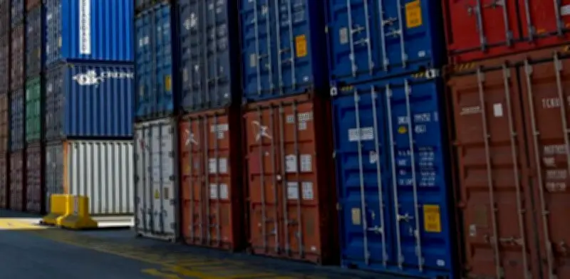 Colombia se prepara para cumplir con normativa europea contra deforestación en exportaciones