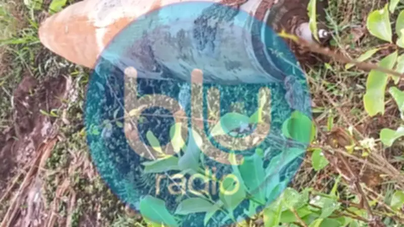 Colombia y Ecuador reducen tensiones con investigación conjunta por bomba en frontera