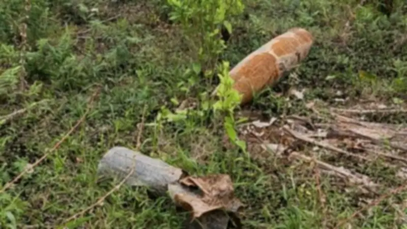 Colombia y Ecuador superan incidente fronterizo con bomba y apuestan por cooperación