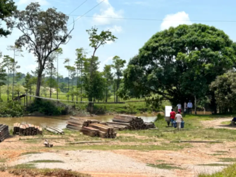Comunidades campesinas en riesgo de desaparecer por enfrentamientos armados en Magdalena Medio