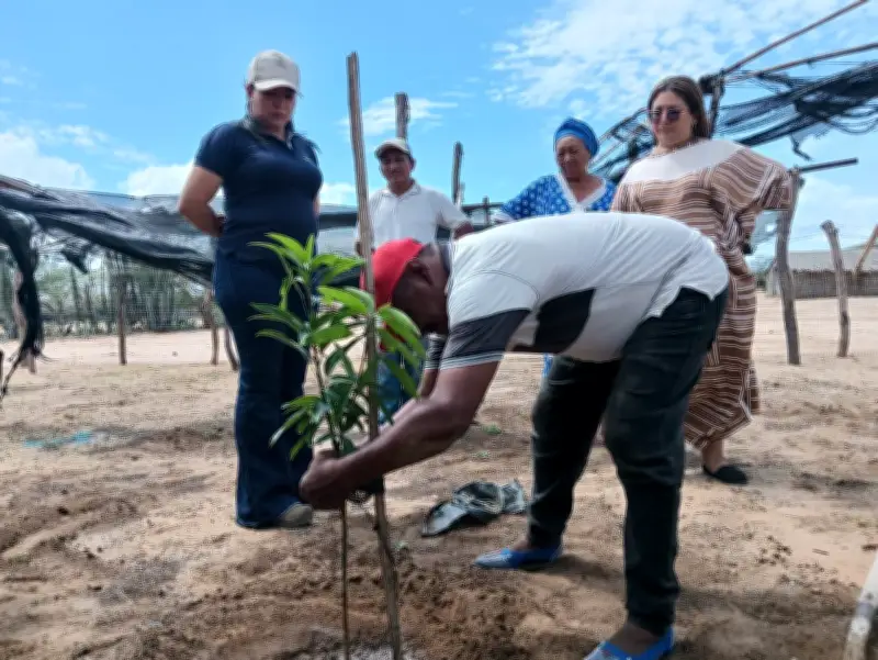 Comunidades Wayúu en La Guajira implementan proyectos sostenibles para acceso al agua segura