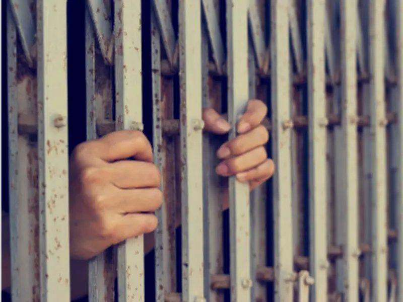 Concejo de Bogotá reconoce labor académica que libera inocentes de condenas erróneas