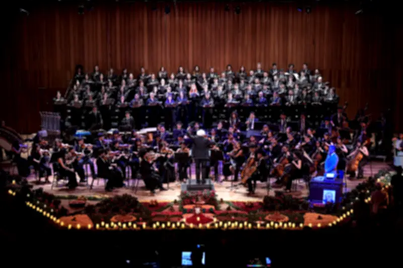 Concierto y eventos culturales en Bogotá conmemoran la emancipación afrodescendiente