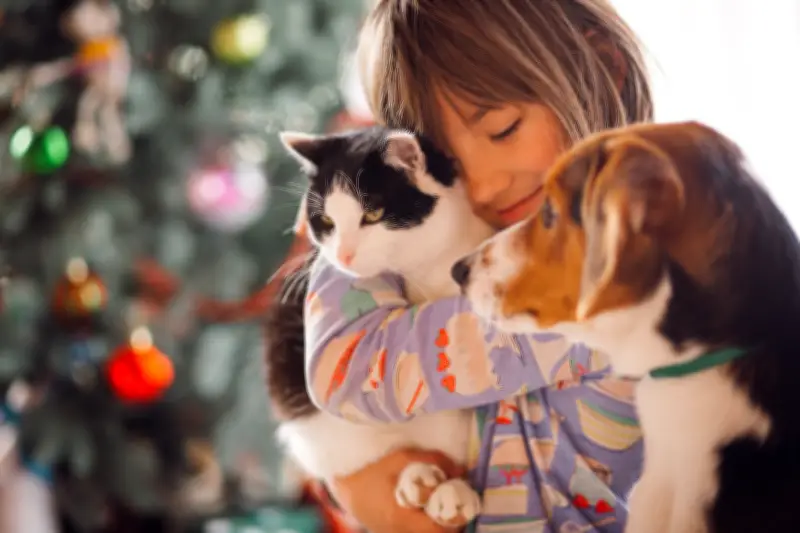 Consejos para adaptar mascotas a apartamentos: seguridad, rutina y espacio propio