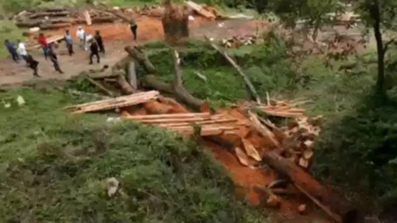 Construcciones ilegales en cerros tutelares de Medellín generan alerta en autoridades