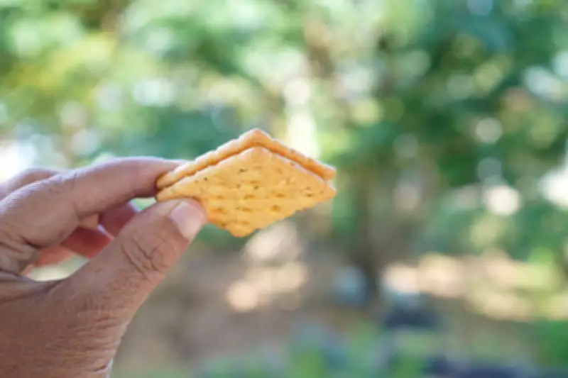 Consumo de pasabocas en Colombia se transforma: mercado supera 15 billones de pesos en 2026