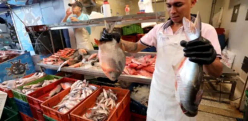 Consumo de pescado en Colombia se duplica en 10 años y fortalece su lugar en la alimentación nacional