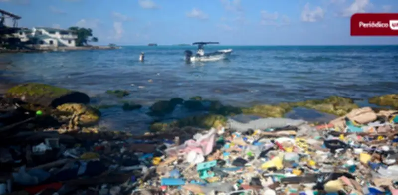 Contraloría halla irregularidades por $4.642 millones en contrato de arrecifes en San Andrés