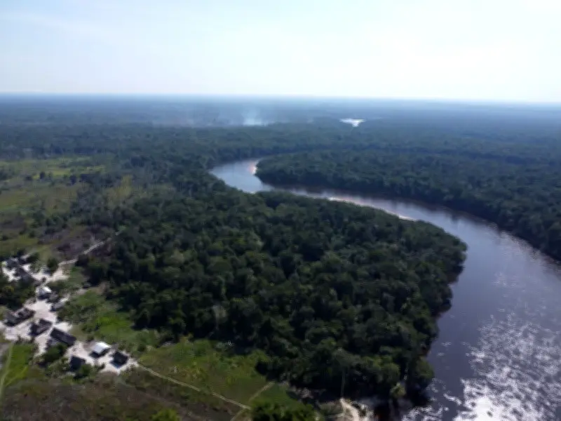 COP15 adopta plan regional para proteger bagres migratorios de la Amazonía