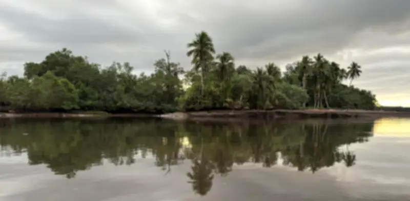 Coquí, el destino del Pacífico que impulsa el turismo comunitario y los saberes ancestrales