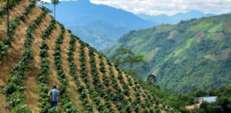 Crisis en Oriente Medio encarece fertilizantes: impacto directo en agricultores colombianos