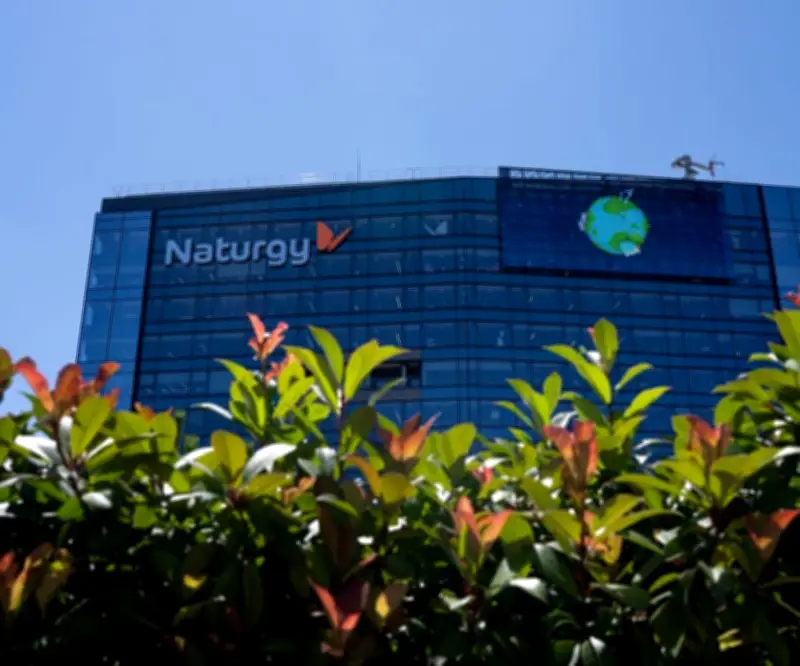 Criteria aumenta su participación en Naturgy al 28,5% tras adquirir acciones de BlackRock