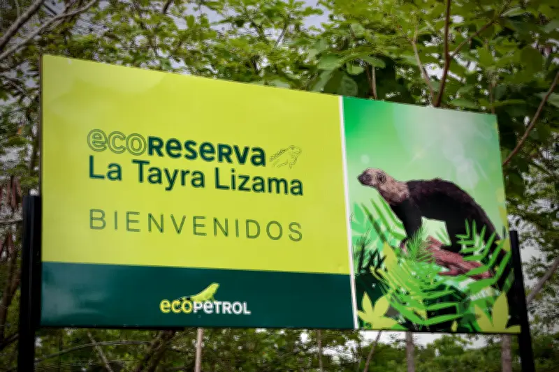 De desastre petrolero a ecoreserva: La transformación del área afectada por el afloramiento de Lisama 158