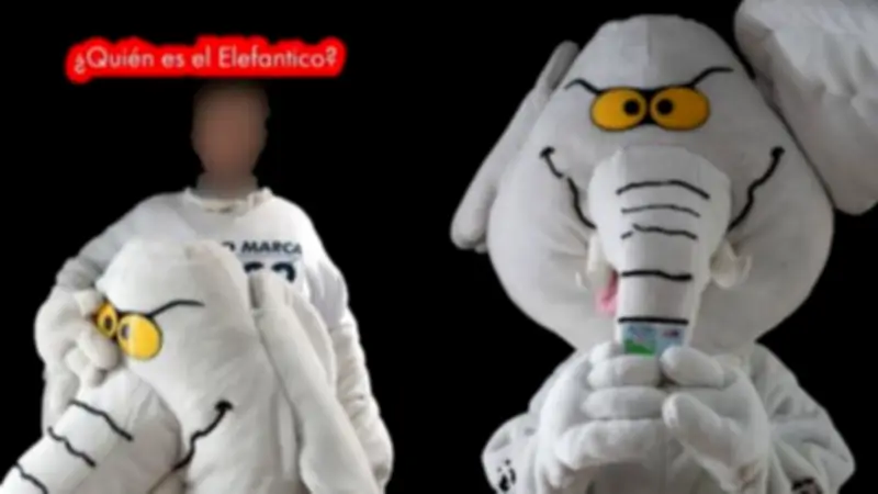 De 'Elefante Blanco' en TikTok a senador: Luis Carlos Rúa llega al Congreso tras denunciar corrupción