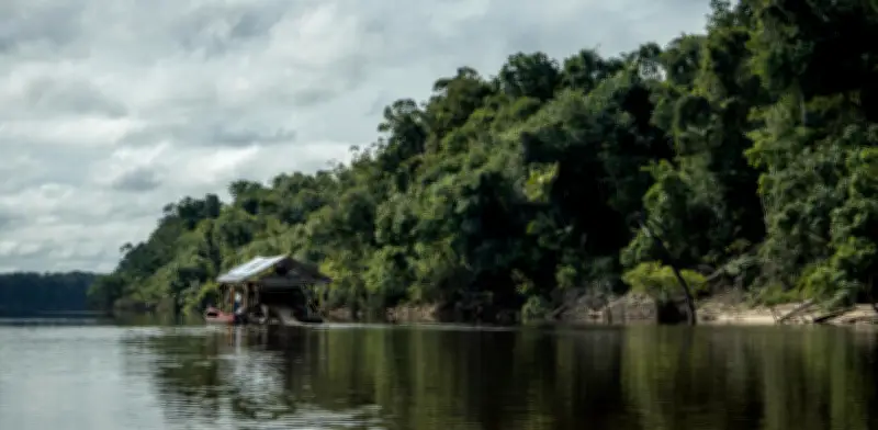 Defensoría alerta sobre crisis humanitaria de indígenas en Guainía por conflicto armado