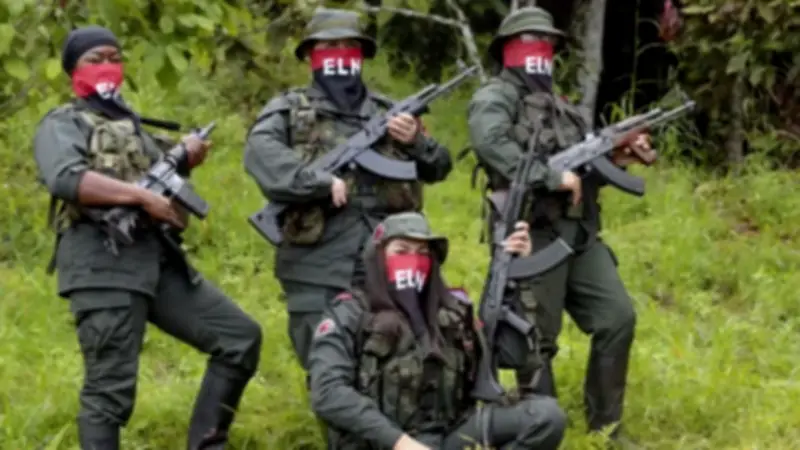 Defensoría alerta sobre paro armado del ELN en Chocó que confina a miles de personas