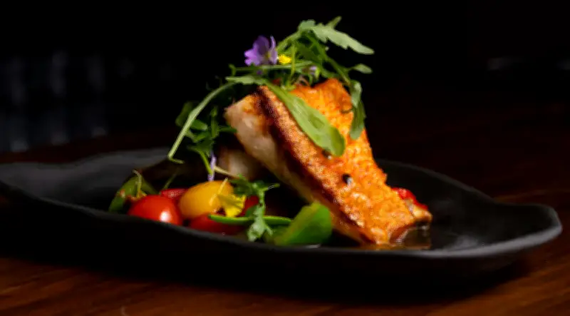 Deliciosas Recetas de Salmón para un Almuerzo Rápido y Nutritivo