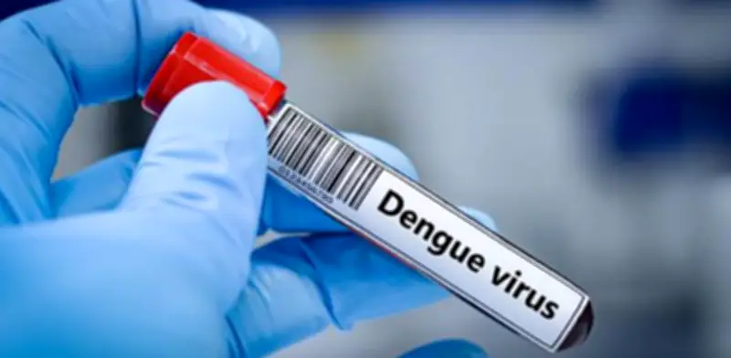 Dengue en Semana Santa: más de 20.000 casos en 2026 y riesgo en el 90% del territorio