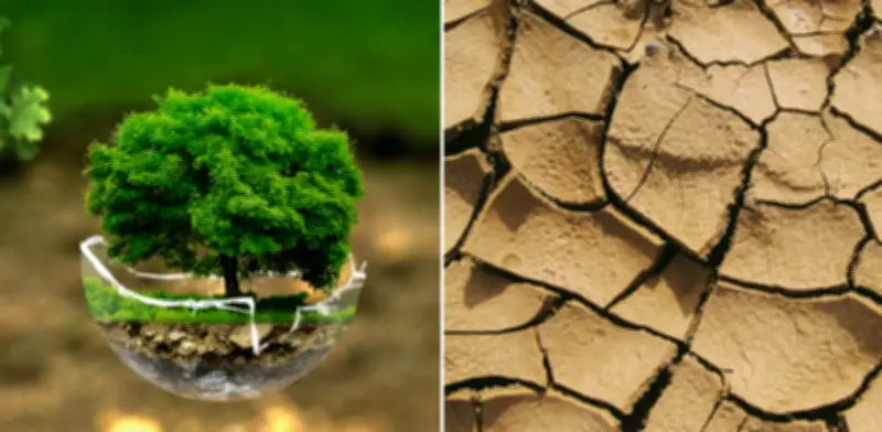 Desafíos en la medición y verificación de reducciones de CO₂: retos técnicos y metodológicos