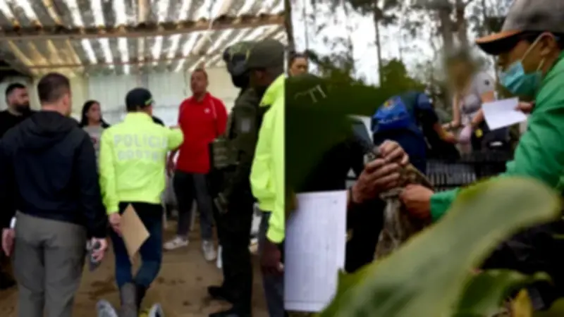 Desarticulan red de peleas de perros en La Calera con captura de 13 personas, incluido veterinario