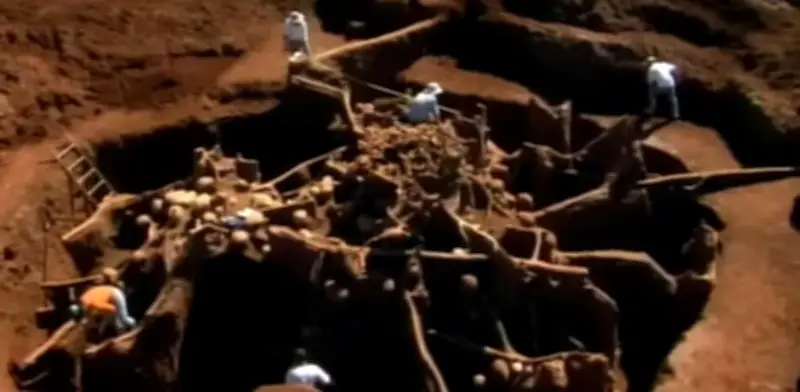 Descubren metrópolis subterránea de hormigas en Brasil: 50 m² y 40 toneladas de tierra removida
