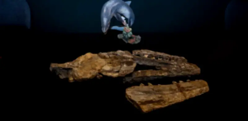 Descubren nueva especie de mosasaurio en México: Prognathodon cipactli, depredador de hace 70 millones de años