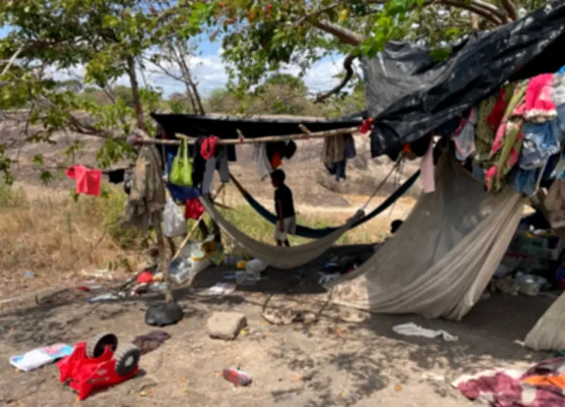 Desplazamiento forzado afectó a 3.409 personas en enero de 2026, según Defensoría del Pueblo