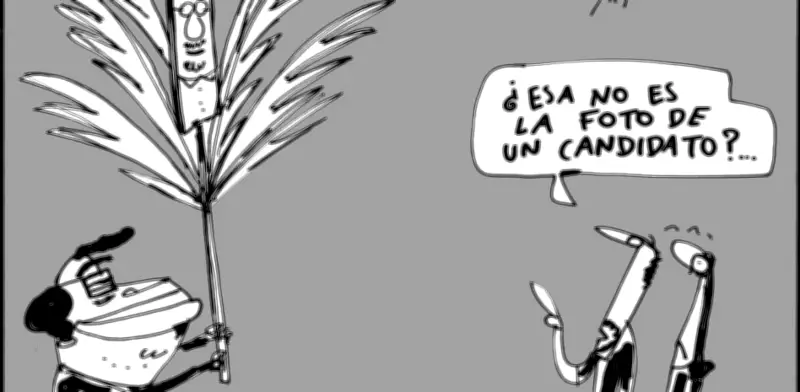 Domingo de Ramos: Una reflexión sobre la paz y la reconciliación en Colombia
