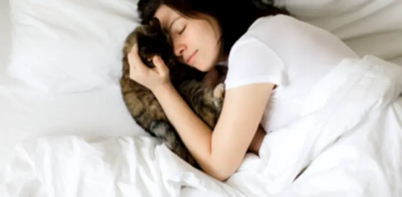 Dormir con mascotas: beneficios emocionales frente a riesgos para la calidad del sueño