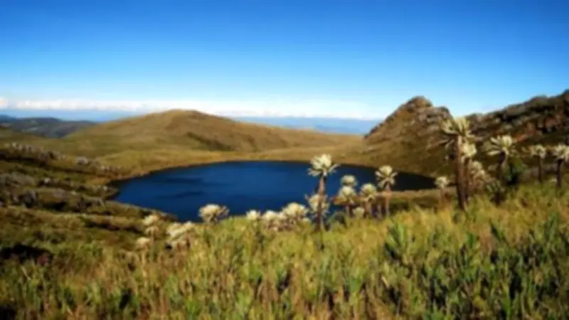 Dos excursionistas desaparecidos en Chingaza fueron rescatados tras intensa búsqueda