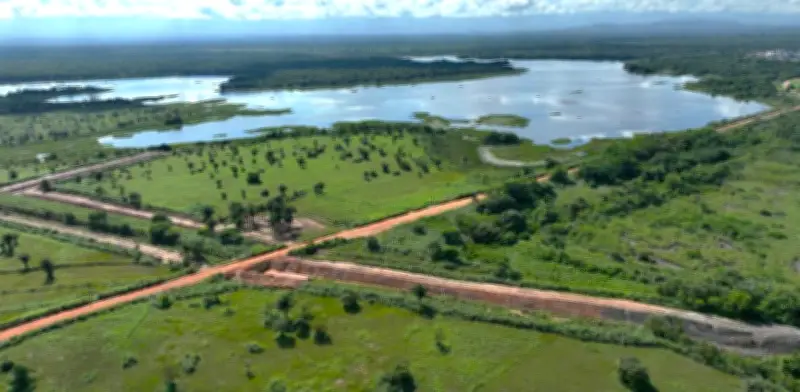 Drummond impulsa minería sostenible con inversión ambiental y educativa en Colombia