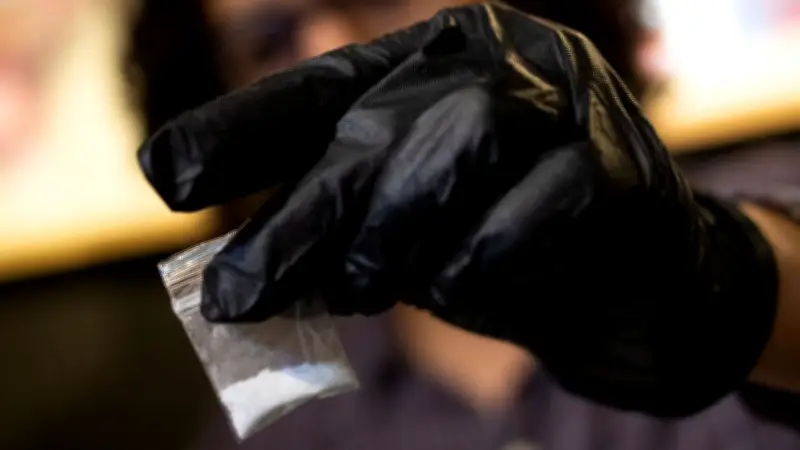 EE.UU. confirma que Colombia mantiene liderazgo mundial en producción de cocaína