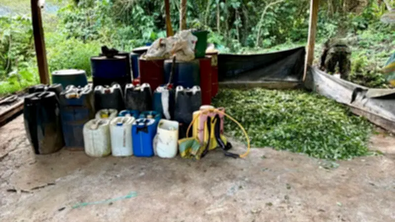 Ejército desmantela tres laboratorios de coca en Yarumal y Briceño, Antioquia
