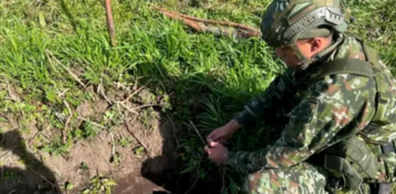 Ejército neutraliza ataque terrorista del ELN en Cauca con destrucción de cinco explosivos de alta letalidad
