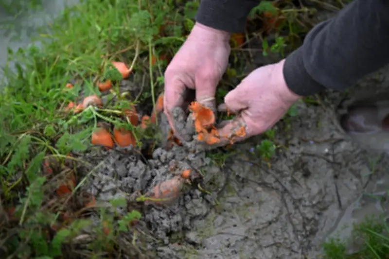 El 'agrifoodtech' colombiano se consolida como tercer sector de inversión pese a ajuste global