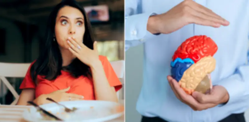 El cerebro sigue deseando comida tras la saciedad: estudio revela que no es falta de voluntad