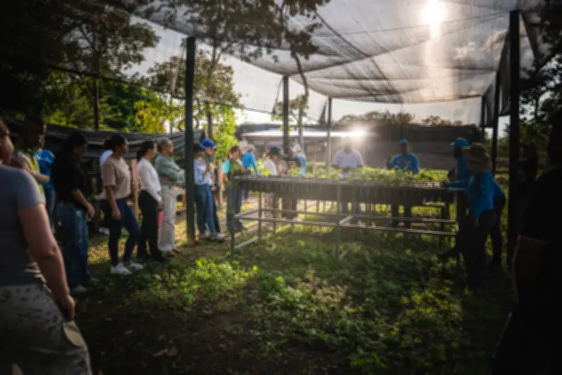 El 'Corredor de Vida' en el Cesar: avances y dudas sobre la transición energética post-carbón