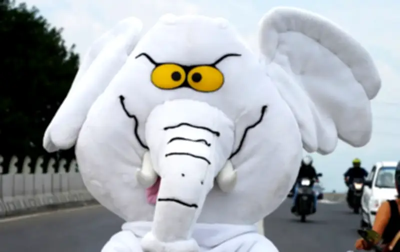 El 'Elefante blanco' llega al Senado: la sorprendente historia del congresista digital