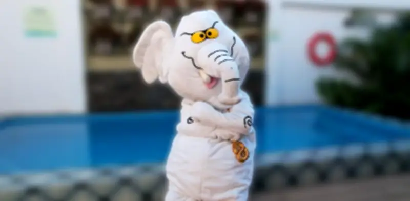 El 'Elefante Blanco' logra curul en el Senado para el periodo 2026-2030 con promesa de hacer historia