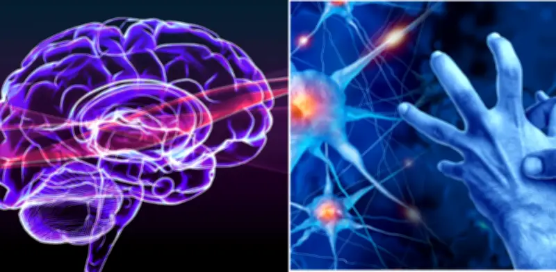 El hábito que más protege al cerebro: neurólogo revela fórmula secreta para evitar fallos de memoria